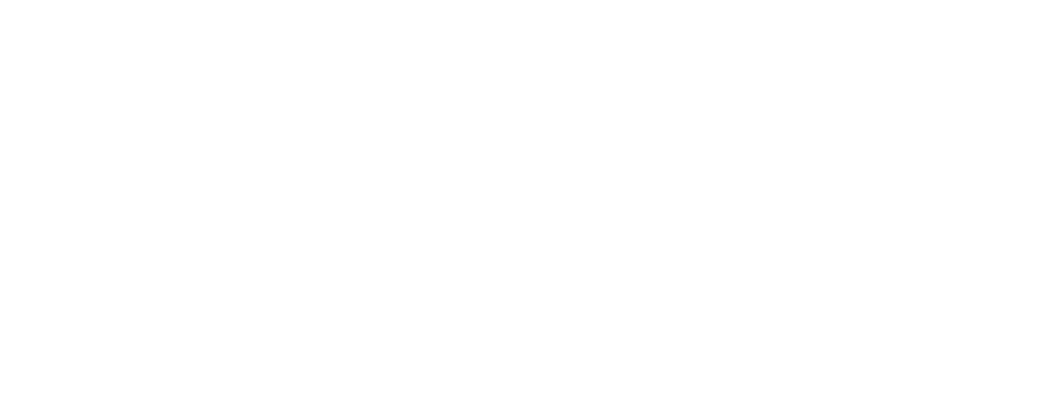 Arizola Associates